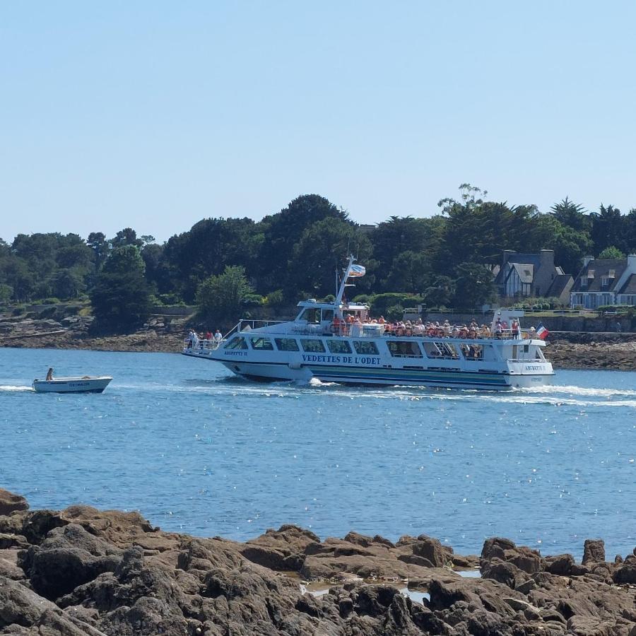 Studio Lumineux Proche Port & Plages Bénodet Eksteriør billede